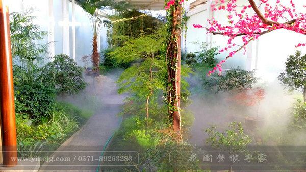 這樣的室內(nèi)庭院，簡(jiǎn)直讓我尖叫！